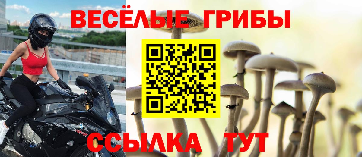 Галлюциногенные грибы Psilocybe  Вход с VPN  Междуреченск 