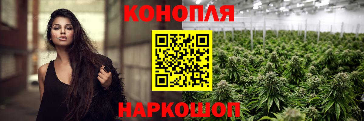 Бошки марихуана конопля Междуреченск